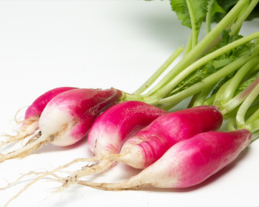 French Breakfast Radish Seeds